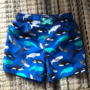 Cat & Jack Swim Trunks